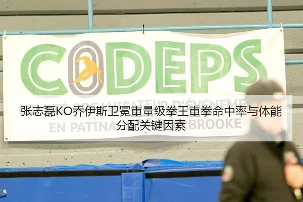 张志磊KO乔伊斯卫冕重量级拳王重拳命中率与体能分配关键因素
