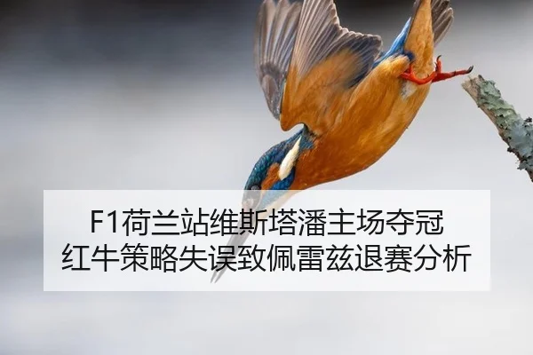 he-lan-zhan-wei-si-ta-pan-zhu-chang-duo-guan-hong-niu-ce-lve-shi-wu-zhi-pei-lei-zi-tui-sai-fen-xi-3-198.jpg